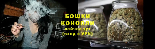 крисы Богданович