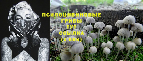твердый Богородицк